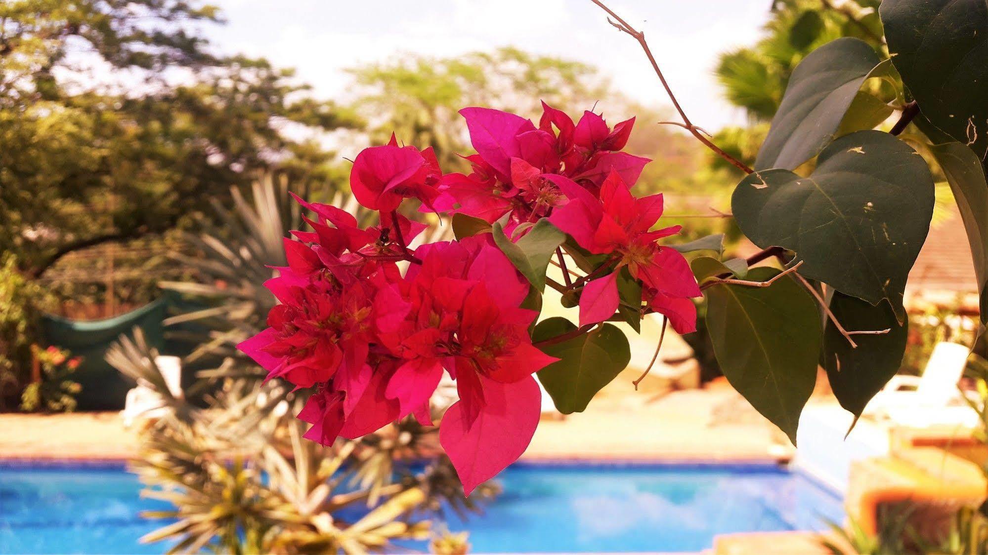 Hotel Nahua Potrero (Guanacaste) Exterior foto